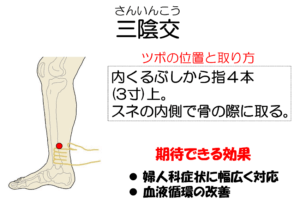 ツボ　三陰交　位置のイラスト