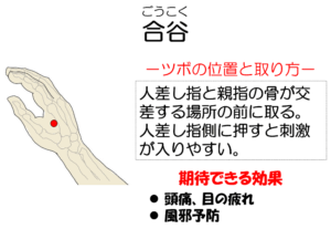 ツボ　合谷の位置のイラスト