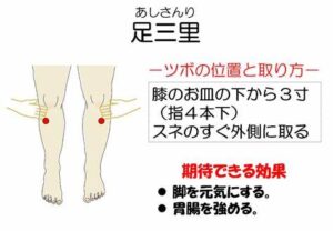 足三里　ツボの図