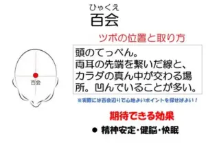 ツボ　百会の位置