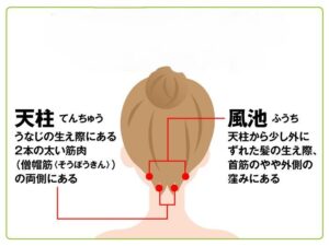 ツボ　天柱のイラスト
