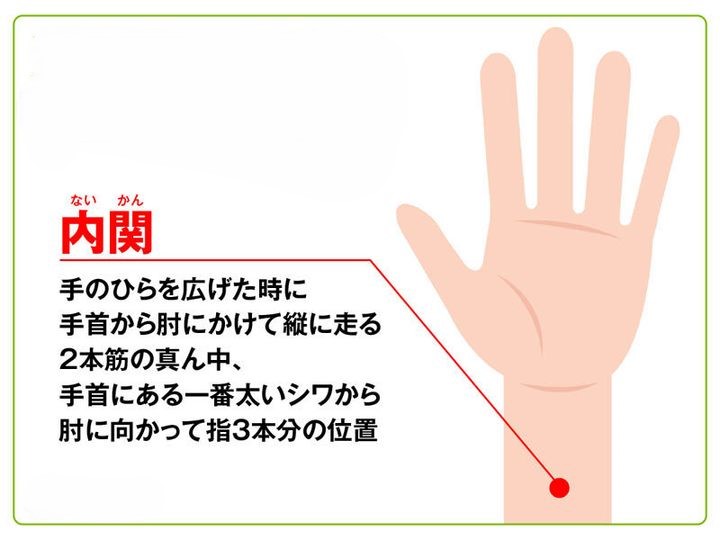 手首内側にあるツボ内関の位置を示した図。手首のしわから指3本分上、2本の筋の間にあり、胃の調子やストレス、自律神経ケアに使うポイント