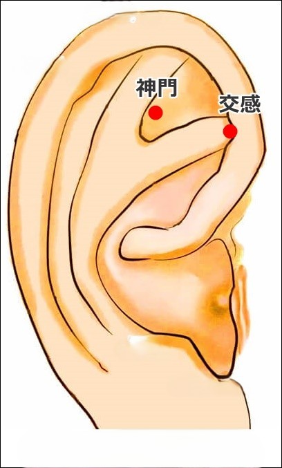 耳つぼの図。ストレス緩和の神門と、自律神経を整える交感ポイントの場所を示したイラスト
