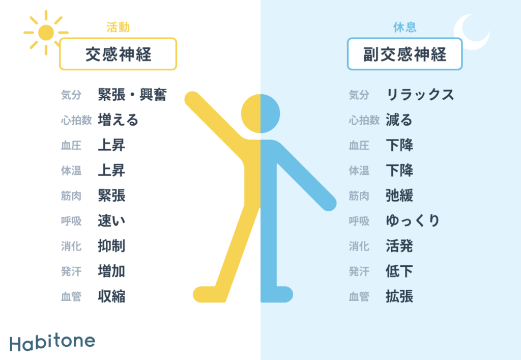 交感神経と副交感神経のバランス｜切り替え不良で疲労が回復しにくい